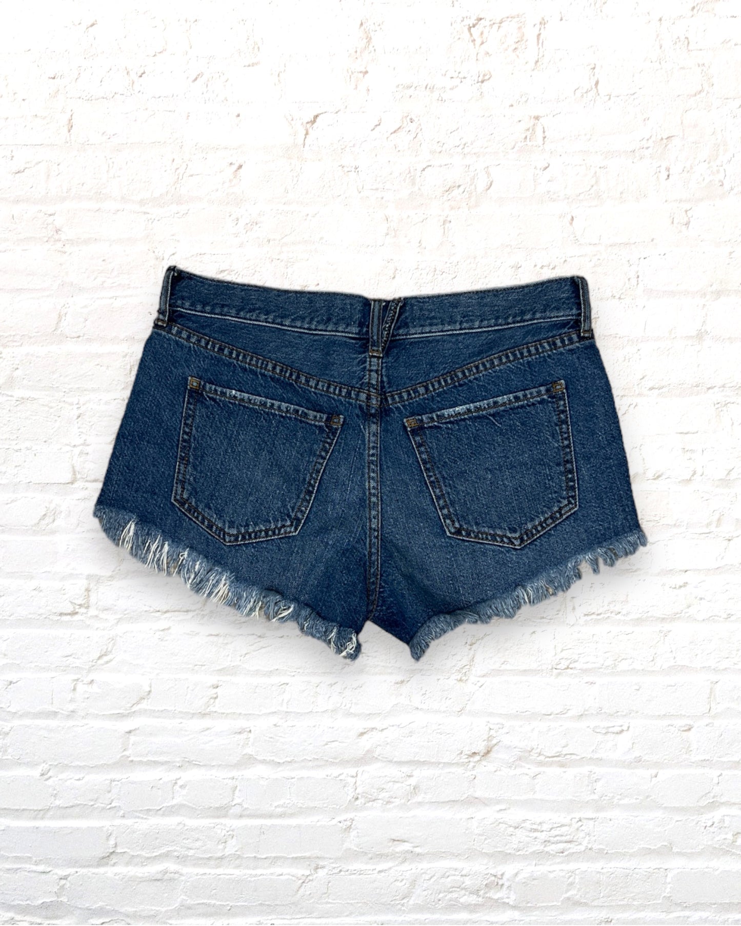 Free People / Shorts / 26