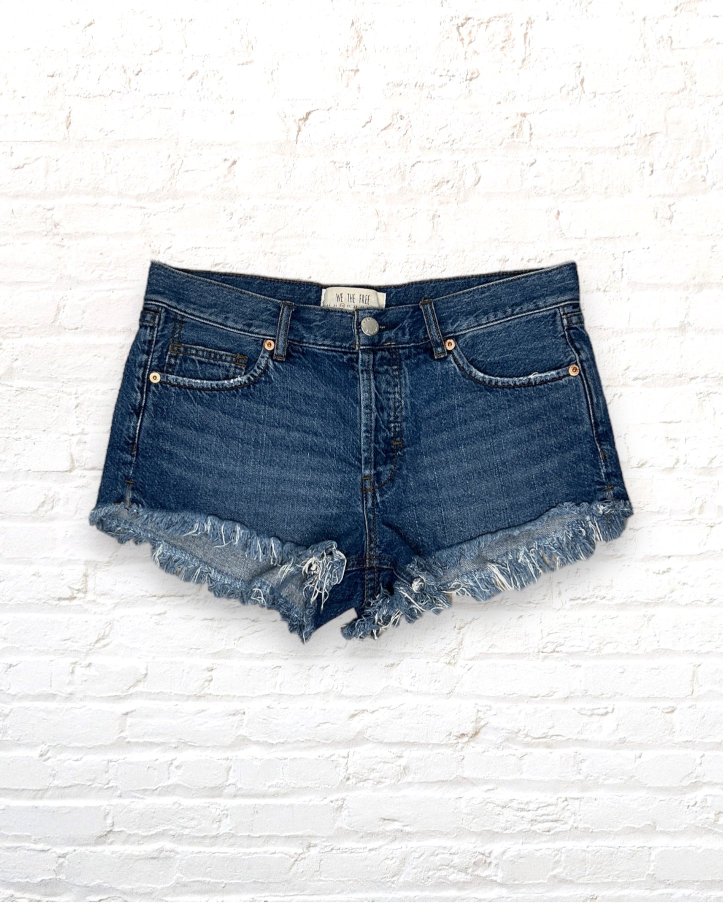 Free People / Shorts / 26
