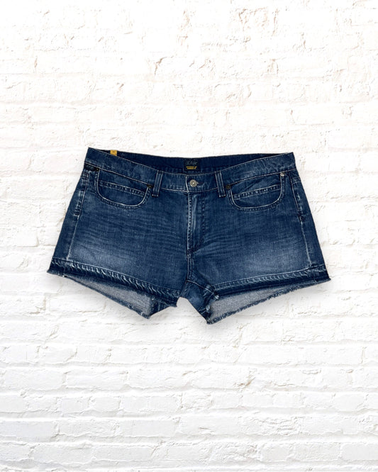 Citizens of Humanity / Shorts / 32