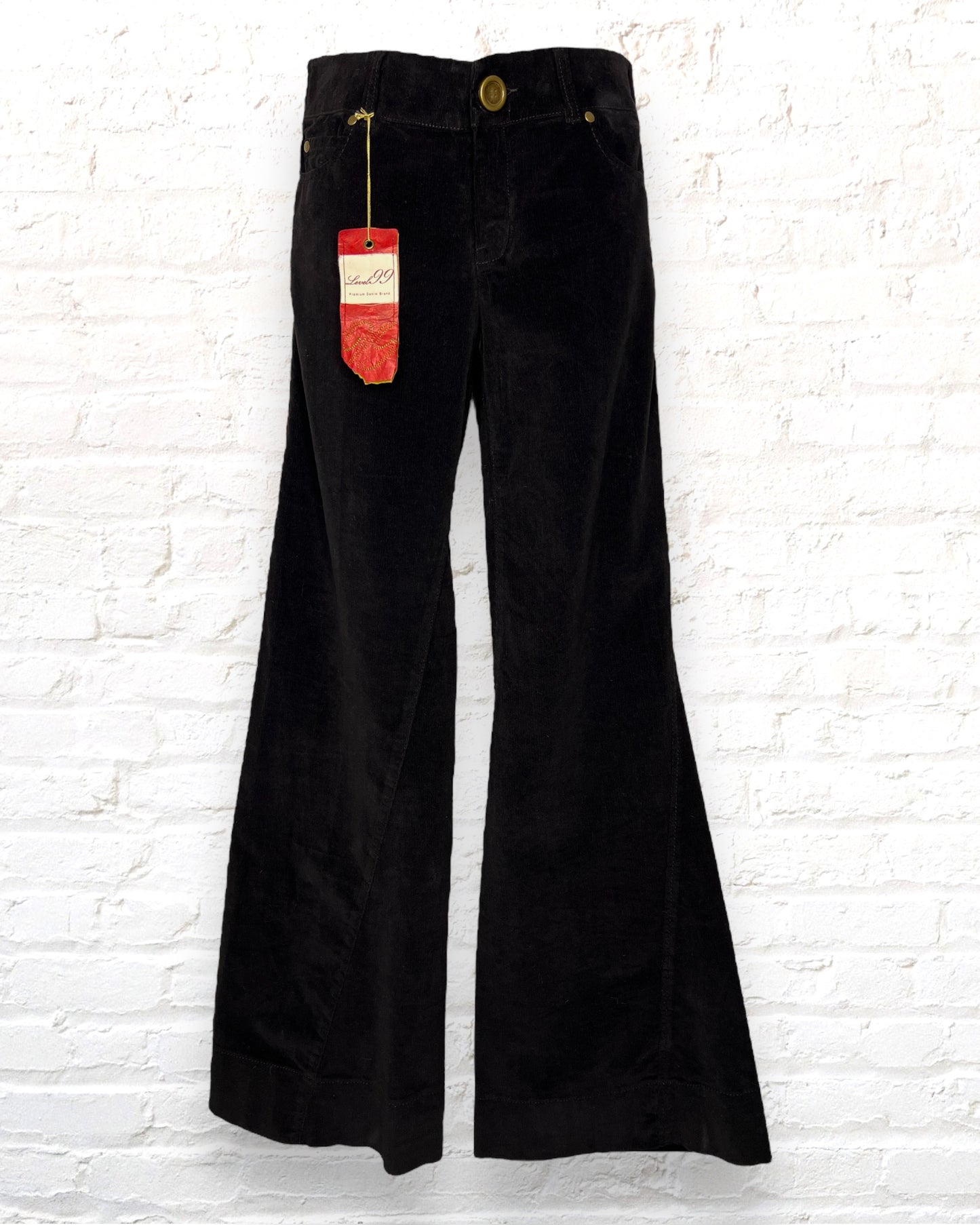Level 99 / Corduroy / New with tags / 29x33